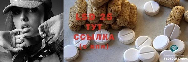 шишки Абаза