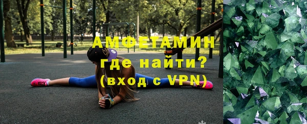 шишки Абаза