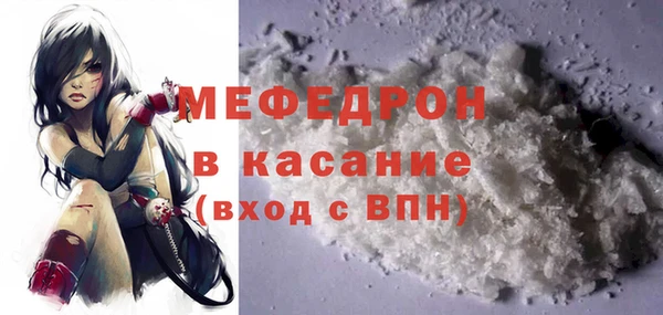 шишки Абаза